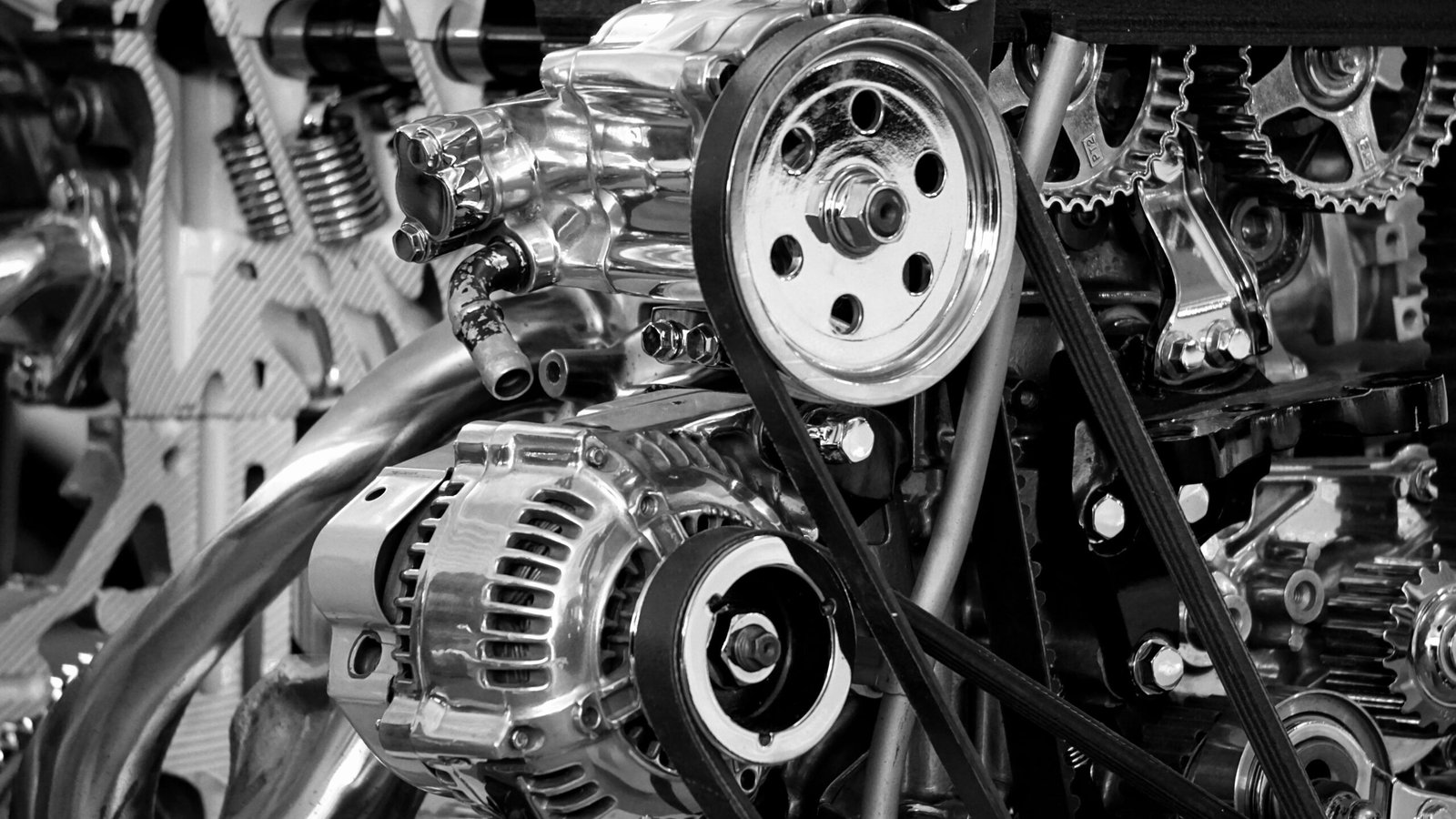 Motor Animal